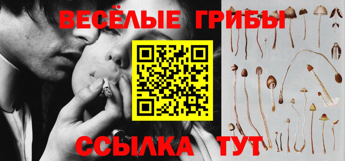 Галлюциногенные грибы мицелий Новоалтайск