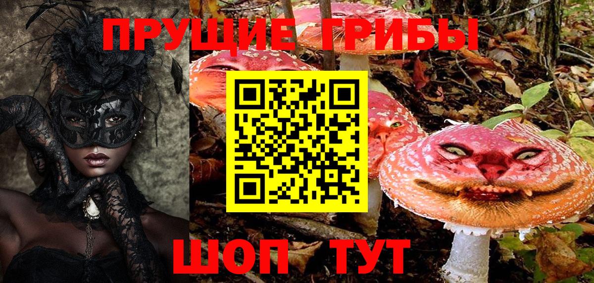 Галлюциногенные грибы MAGIC MUSHROOMS  Вход с VPN  Новоалтайск 